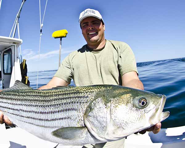 Man with striped bass on a fishing charter