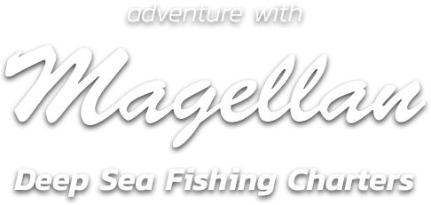 Adventure with Magellan Fishing Charters Cape Cod