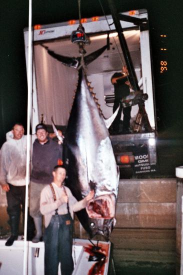 tuna1 tuna1
