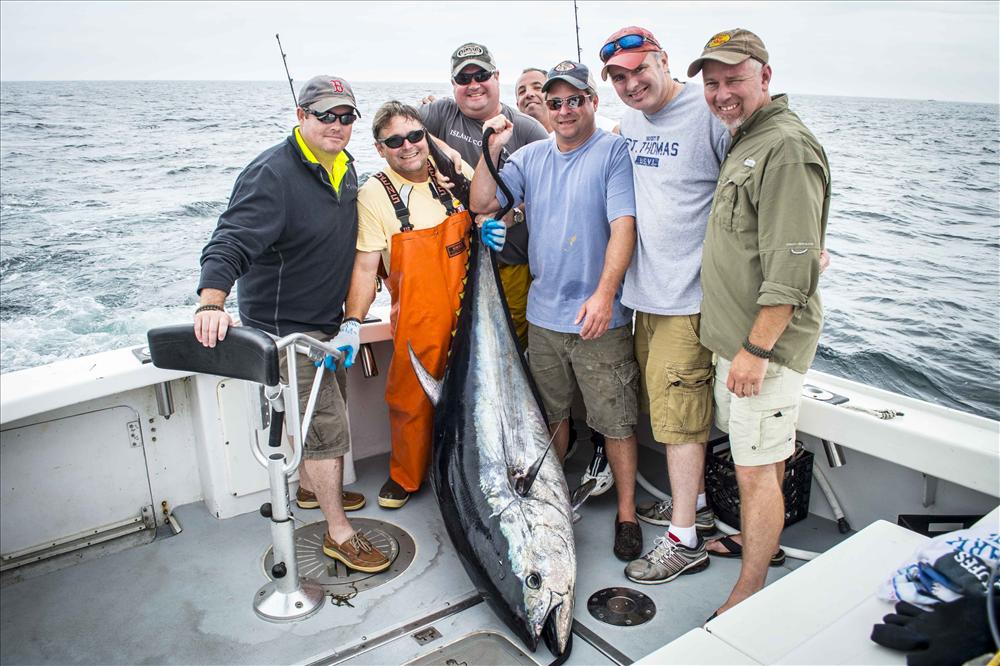tuna2 tuna2