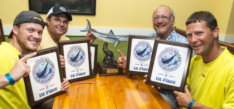 winsharks winsharks