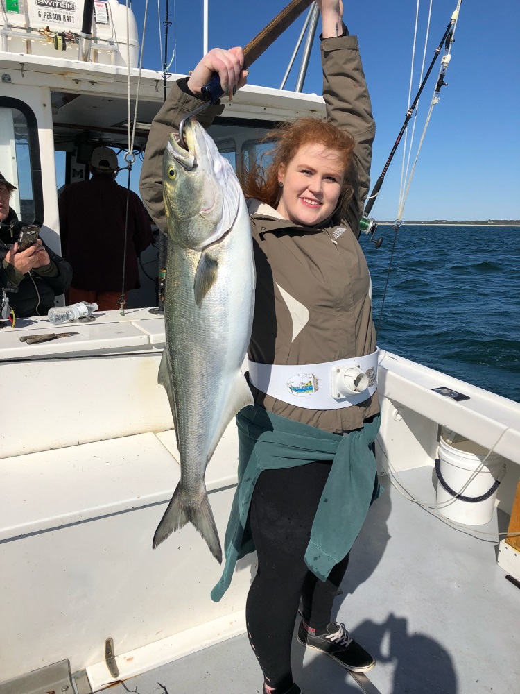 Bluefish Fishing Charters - Adventure with Magellan Fishing Charters Cape  Cod