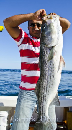 striperrates striperrates