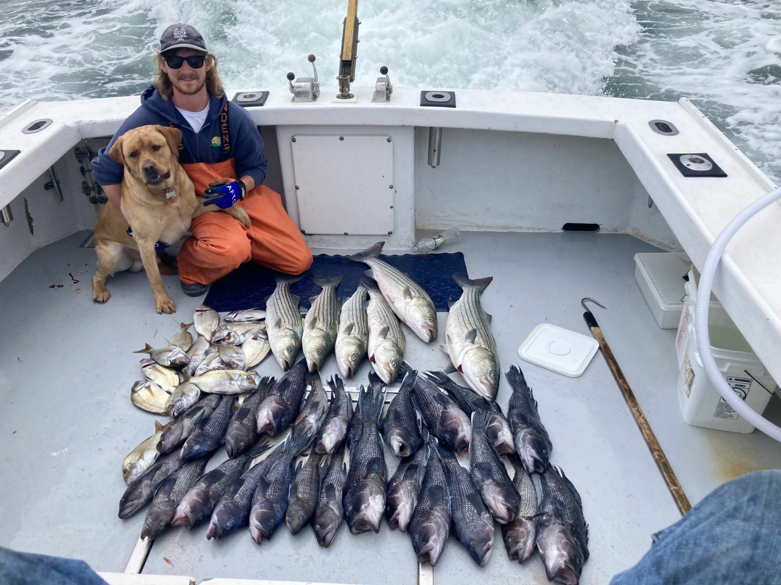 Porgy & Sea Bass Combo Charters - Adventure with Magellan Fishing Charters  Cape Cod