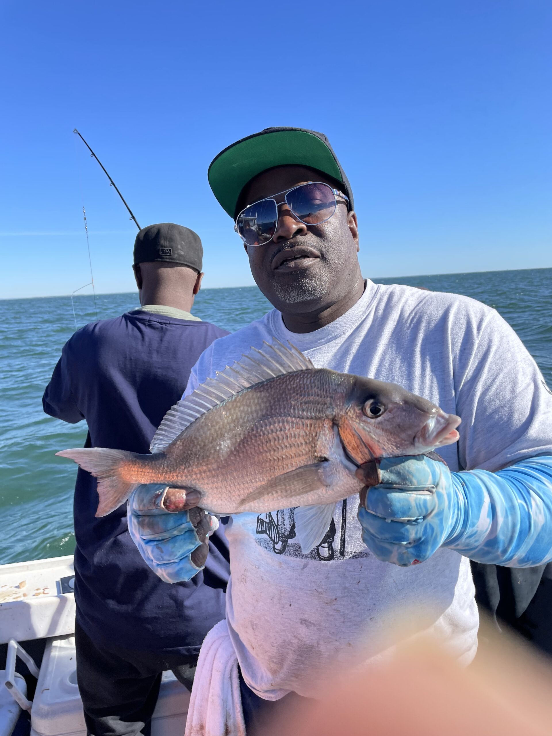 porgy porgy