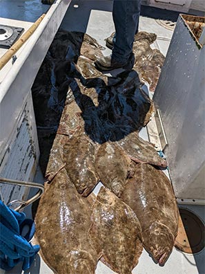 a boat deck covered in fluke